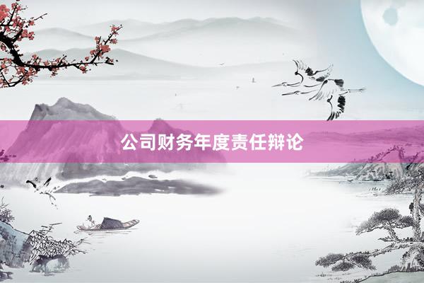 公司财务年度责任辩论